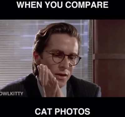 Death by Cats