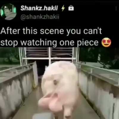 Bad Piggies