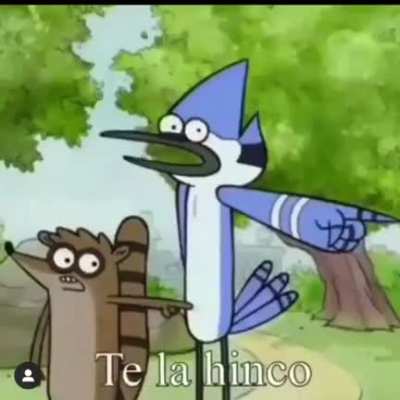 Chupame las tetas 🤬