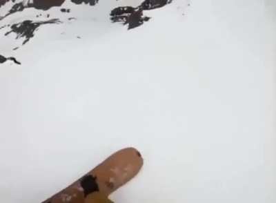 Dog?