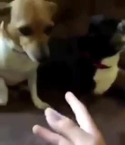 Rule