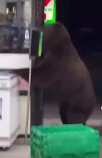 Damn…. he just wanted some cookies
