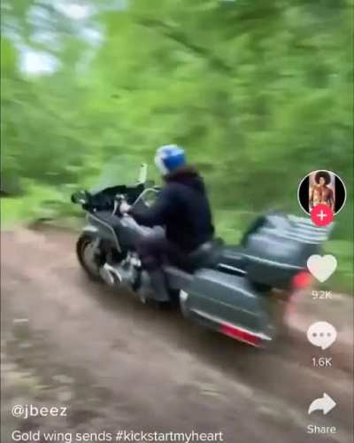 Hold my beer while I prove that a Goldwing is an all purpose motorcycle!