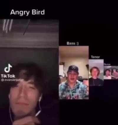 Amgry brid
