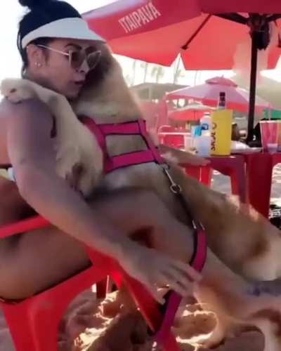 HMC, while I pet the nice Doggo