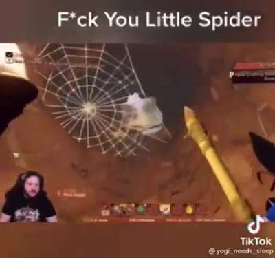 Fuck spiders