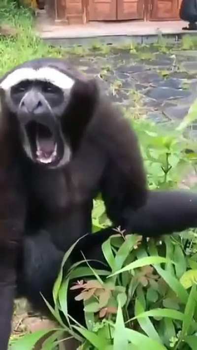 Me everytime we hit that sweet 180