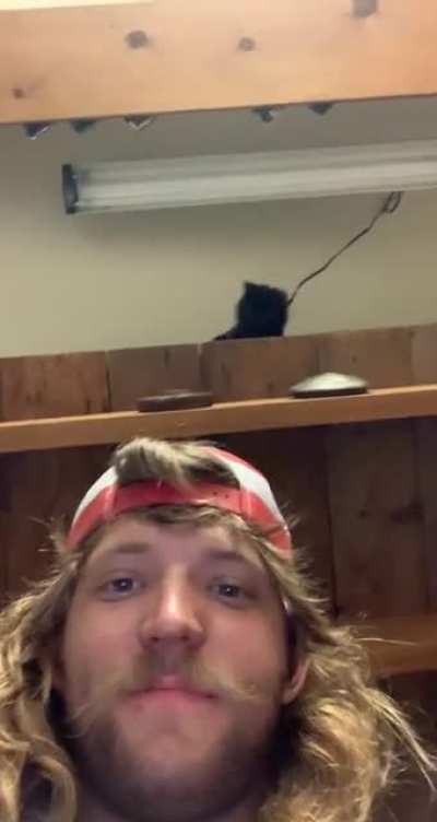 hey kitty