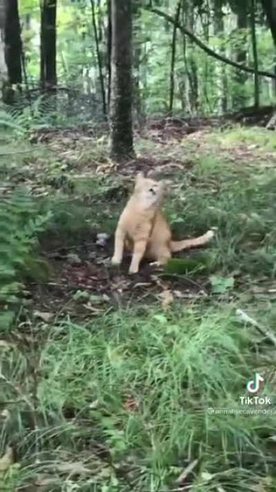 Aaah nature