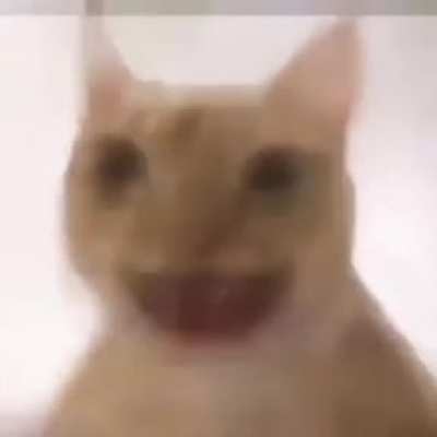 whenaces