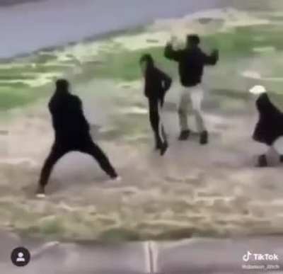 Lit fight