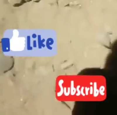 Dale like y suscribete:(