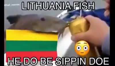 wtf is this?????!