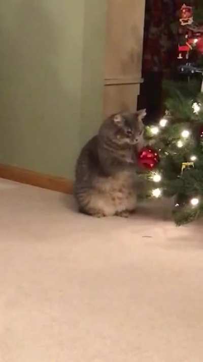 FatPussy
