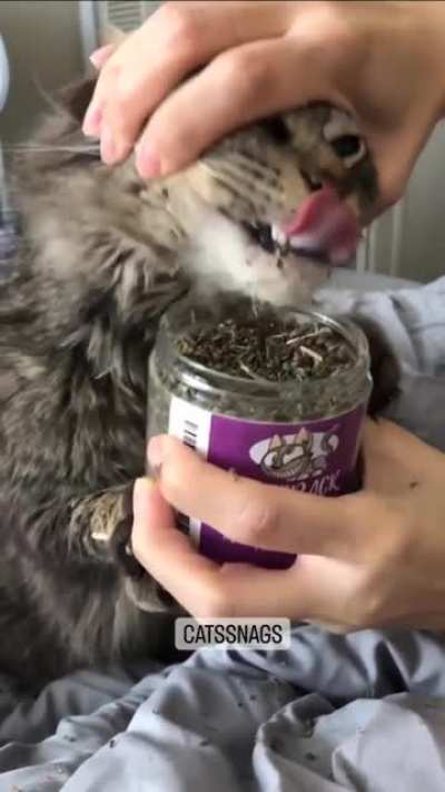 You're not the boss of me!