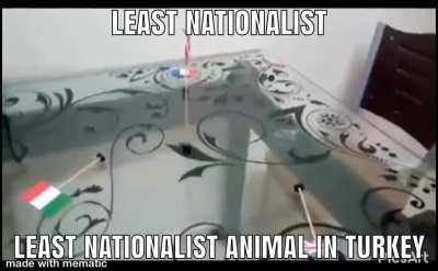 🐺🐺🇹🇷🇹🇷💪🏿💪🏿