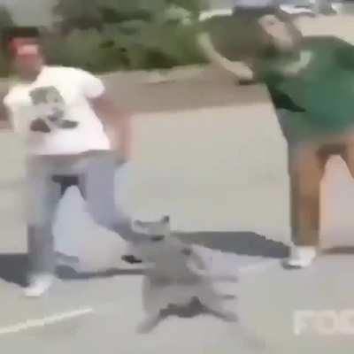 ...