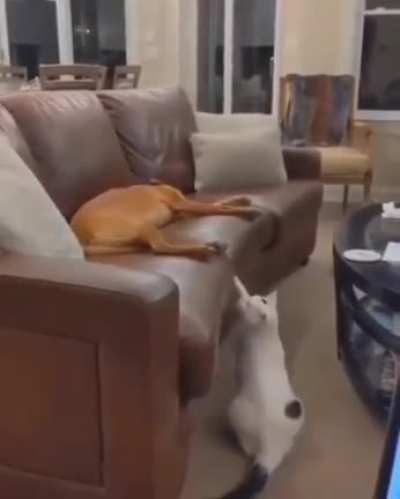 Bro are u sleeping?