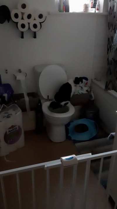 Finally caught my cat doing this