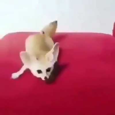 HIYYAAA Melee fox has entered the subreddit.