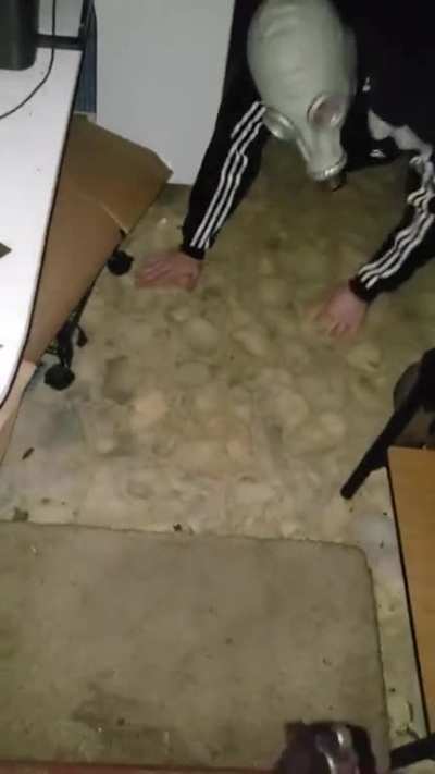 Pet russian