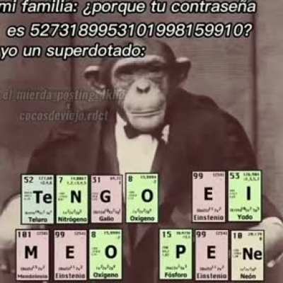 Mono facha