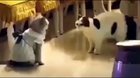 что ты думаешь о моем новом наряде?