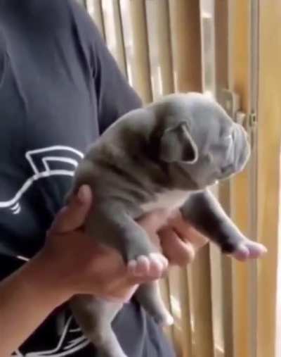 That’s a big yawn
