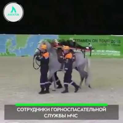 Fun ride