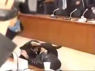 A little Judo to tackle rising tension in Korean Parliament