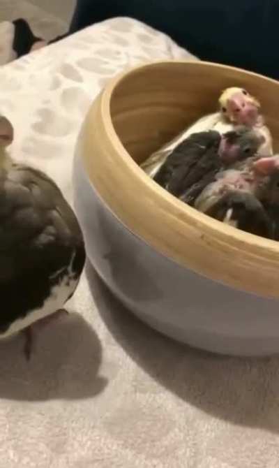 Where did mom go? There she is!