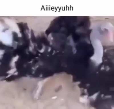 Aiiieyyuhh
