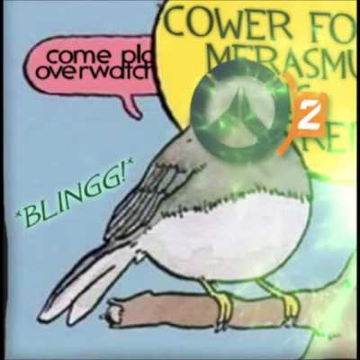 Meanwhile here.mp4