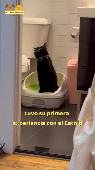 Ta potente...