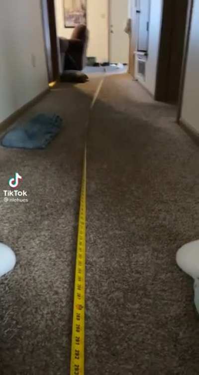AA