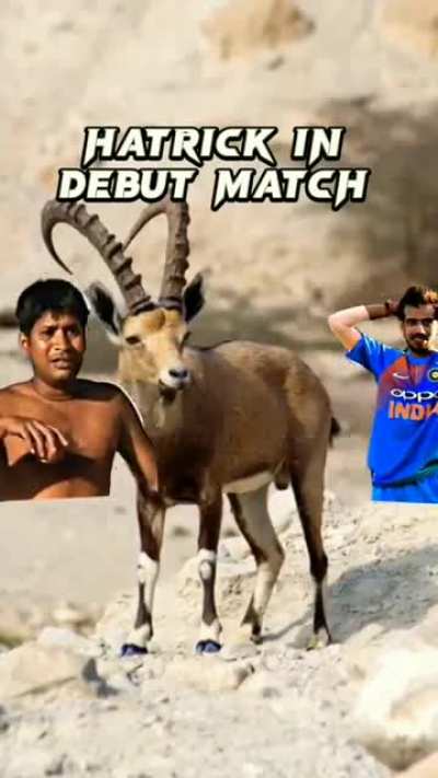 Spinner we need🏏