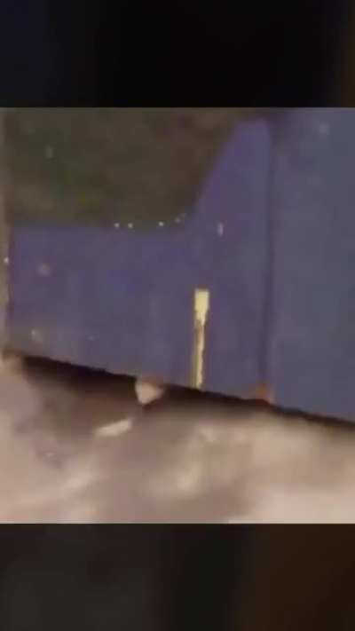 Cursed_rat