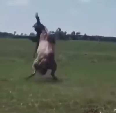 This guy getting slung a full 360 degrees around a horse