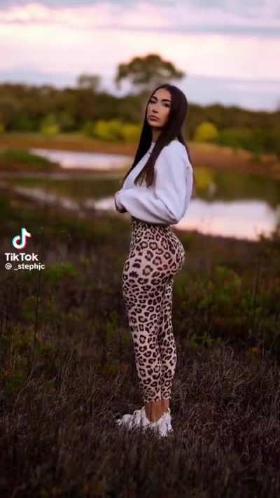 Leopard Print 