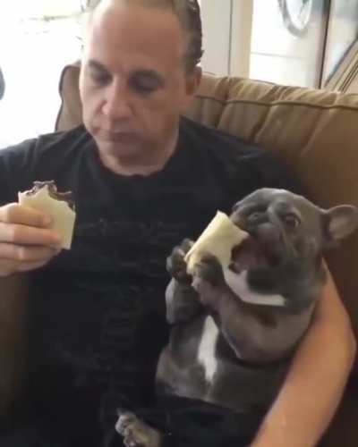 Just a doggo and his burrito.
