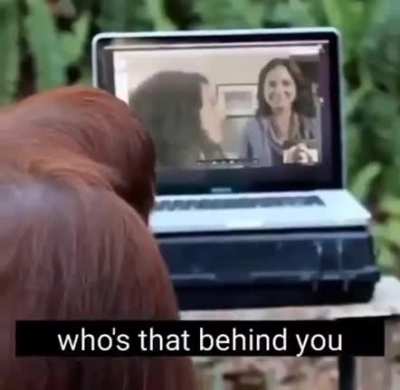 When I return to full monkè