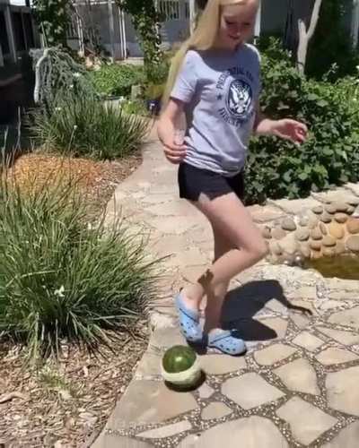 Protect the melon