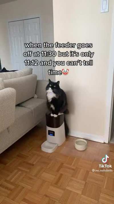 Straight disappointment 🥲