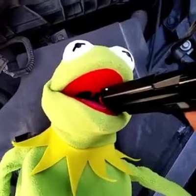 kermit