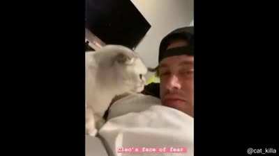 Cat licks owner, owner returns the sentiment