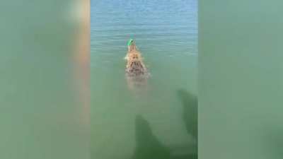 The fact that neither the line nor the fishing rod has broken yet amazes me