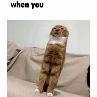 when