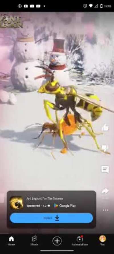 WTF!