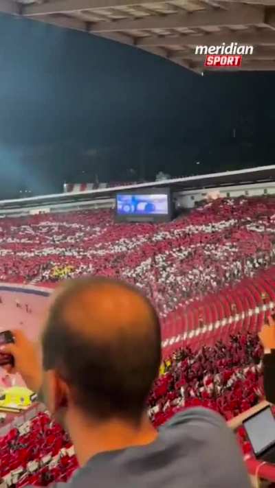 A torcida do Estrela Vermelha fez um mosaico do quadro 