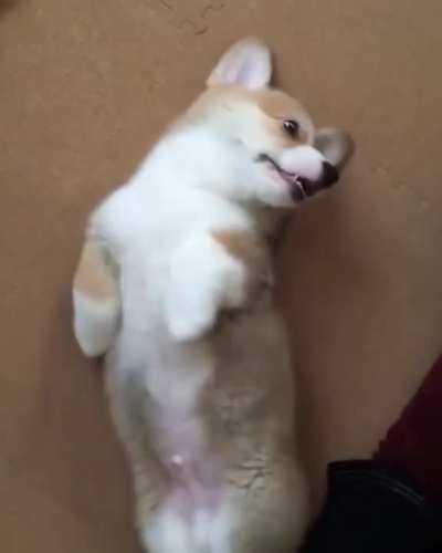 Tickle Monster Attack!
